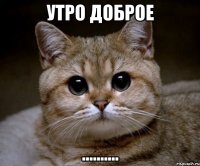 Утро доброе ..........