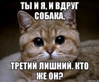 ты и я, и вдруг собака, третий лишний. кто же он?