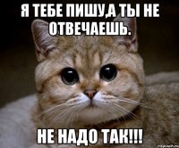 Я тебе пишу,а ты не отвечаешь. Не надо так!!!