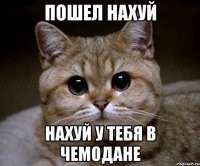 ПОШЕЛ НАХУЙ НАХУЙ У ТЕБЯ В ЧЕМОДАНЕ