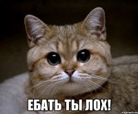  ебать ты лох!