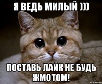 я ведь милый ))) поставь лайк не будь жмотом!