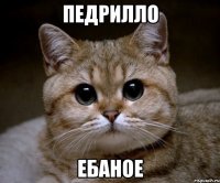 ПЕДРИЛЛО ЕБАНОЕ