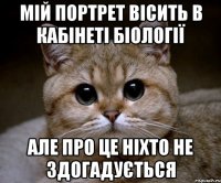 мій портрет вісить в кабінеті біології але про це ніхто не здогадується