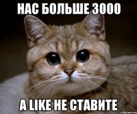 Нас больше 3000 а like не ставите