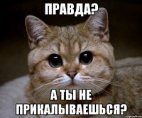 Правда? А ты не прикалываешься?