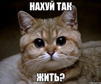 Нахуй так жить?