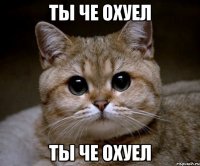 ты че охуел ты че охуел