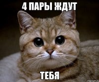 4 пары ждут тебя