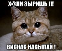 Х@ли зыришь !!! Вискас насыпай !