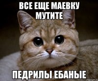 ВСЕ ЕЩЕ МАЕВКУ МУТИТЕ ПЕДРИЛЫ ЕБАНЫЕ