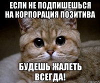 Если не подпишешься на Корпорация Позитива Будешь жалеть всегда!