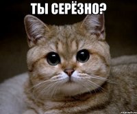 ты серёзно? 