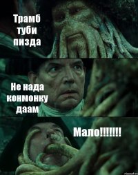 Трамб туби пизда Не нада конмонку даам Мало!!!!!!!