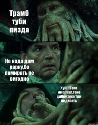 Трамб туби пизда Не нада дам рарку,бо помирать не вигодно Хуй!!!Токо имортал,токо цибку,токо три пидесять
