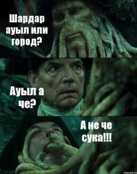 Шардар ауыл или город? Ауыл а че? А не че сука!!!