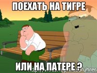 ПОЕХАТЬ НА ТИГРЕ ИЛИ НА ПАТЕРЕ ?