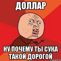 ДОЛЛАР НУ ПОЧЕМУ ТЫ СУКА ТАКОЙ ДОРОГОЙ