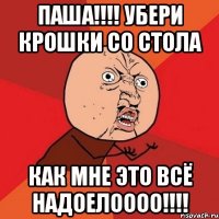 ПАША!!!! Убери КРОШКИ со стола КАК МНЕ ЭТО ВСЁ НАДОЕЛОООО!!!!