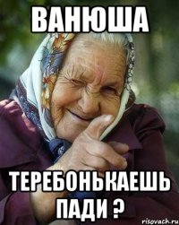 ванюша теребонькаешь пади ?