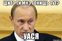 щито ти мнэ гонищь тут? уася