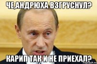 Че,Андрюха взгруснул? Карип так и не приехал?