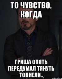 то чувство, когда Гриша опять передумал тянуть тоннели..