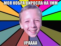 Моя кобра виросла на 1мм ураааа