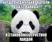 Когда люди хранят пароли в базе данных Я становлюсь грустной пандой