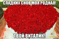 Сладких снов моя родная! Твой Виталик!