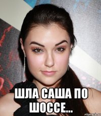  Шла Саша по шоссе...