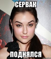 сервак поднялся