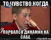 То чувство,когда порвался динамик на сабе.