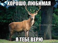 хорошо, любимая я тебе верю