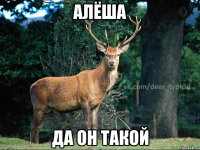 АЛЁША ДА ОН ТАКОЙ