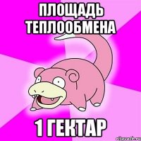 Площадь теплообмена 1 гектар