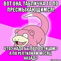 Вот она, табличка то по пресмыкающимся! Что? Надо было по птицам? А по рептилиям месяц назад?