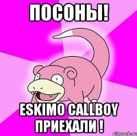 ПОСОНЫ! Eskimo callboy приехали !