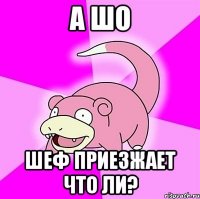 А Шо Шеф приезжает что ли?