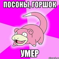 Посоны, горшок умер