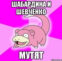 ШАБАРДИНА И ШЕВЧЕНКО МУТЯТ