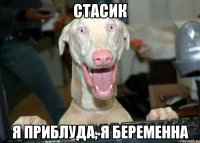 СТАСИК Я ПРИБЛУДА, Я БЕРЕМЕННА