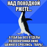 Над походкой ржете... ...у тебя бы все отделы позвоночника ниже шейного срослись, тварь!