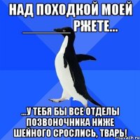 Над походкой моей ______ ржете... ...у тебя бы все отделы позвоночника ниже шейного срослись, тварь!