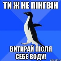 ТИ Ж НЕ ПІНГВІН ВИТИРАЙ ПІСЛЯ СЕБЕ ВОДУ!