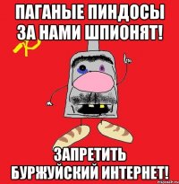 Паганые пиндосы за нами шпионят! Запретить буржуйский интернет!