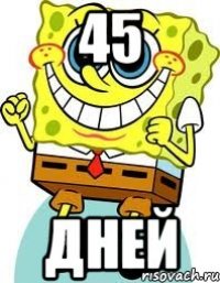 45 ДНЕЙ