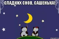 Сладких снов, Сашенька! 