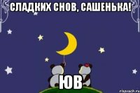 Сладких снов, Сашенька! ЮВ