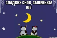 Сладких снов, Сашенька! ЮВ 